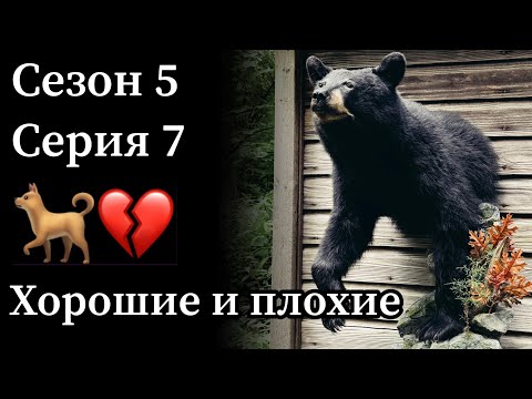 Видео: Хорошие и плохие новости: охота, Арчери, собаки, таксидермия и будущее проекта «1% Удачи»