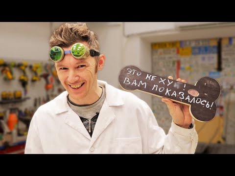 Видео: ЦИРКУЛОБЗИК И МОЛОТИЖЫ