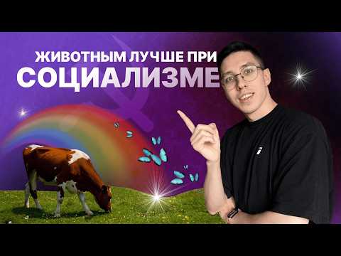 Видео: Возможен ли веганский мир при капитализме?