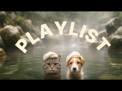 Видео: [Плейлист] Переживи день с Chill & Groove поп-музыкой, что умнее алгоритма 🤖