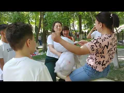 Видео: Сабантуй 2023 в Central Park.#узбекистан #ташкент #сабантуй #centralpark#татарскаякультура