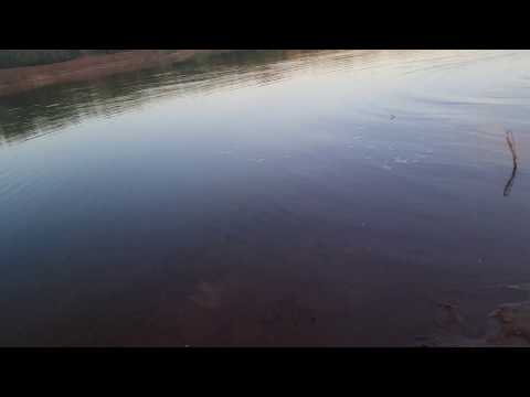 Видео: Итог !!!