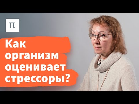 Видео: Общий адаптационный синдром — Анна Усенко / ПостНаука