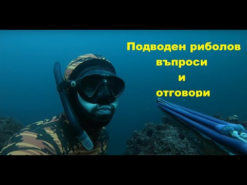 Видео: Въпроси и отговори за подводния риболов - част 1
