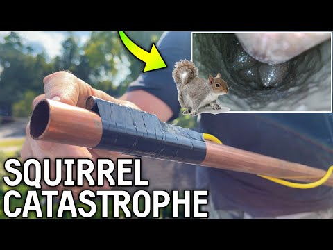 Видео: Использование бороскопа для очистки засоренной вентиляционной трубы