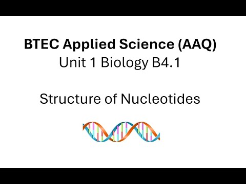 Видео: BTEC Прикладная наука AAQ Биология 4.1 Нуклеотиды