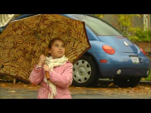 Видео: Мелодия осенних листьев...Luda Gogolinski