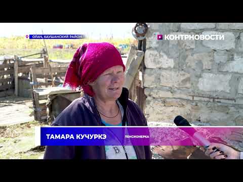 Видео: Кизяк в помощь. Молдаване запасаются коровьими лепешками в преддверии зимы