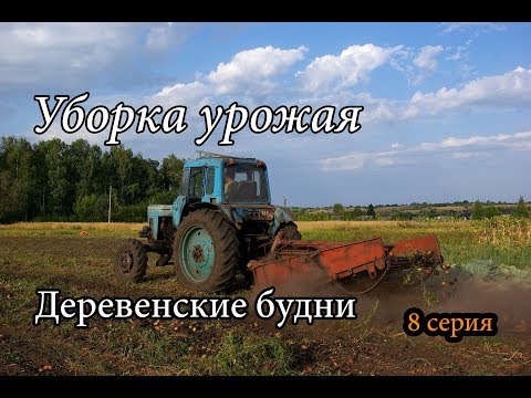 Видео: УБОРКА УРОЖАЯ. Деревенские будни, 8 серия