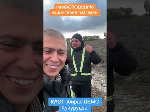 Видео: RAGT собираем демо кукурузы