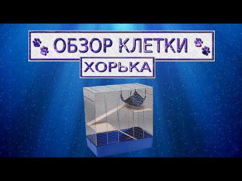 Видео: Обзор клетки для хорька!👀Что должно быть в клетке!?✔