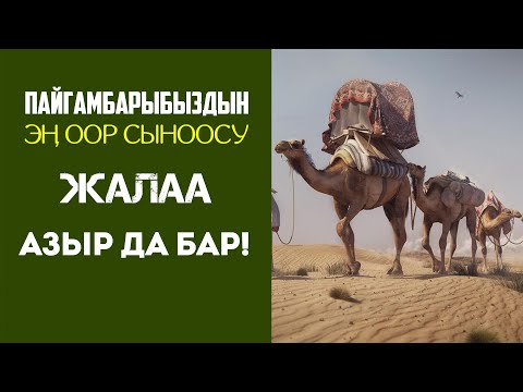 Видео: Ифк окуясы