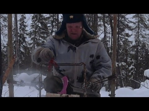 Видео: китайский тапок в капкане 🤣