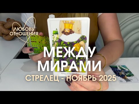Видео: СТРЕЛЕЦ Любовь/Отношения : МЕЖДУ МИРАМИ | Ноябрь 2025 таро прогноз
