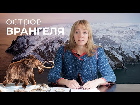 Видео: ОСТРОВ ВРАНГЕЛЯ: БОЛЬШАЯ ИСТОРИЯ НЕБОЛЬШОГО ОСТАТКА СУШИ. eng.sbt / pol.nap.