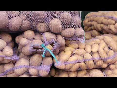 Видео: Ціни на базарі в Полтаві.Ціна  картоплі оптом 15 грн.  #полтава #ціни #овочі #дорого