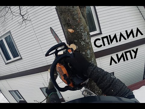 Видео: Спил липу которая росла через крышу навеса