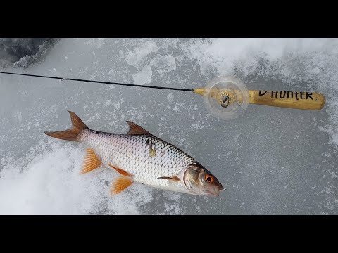 Видео: Перший лід. Лісові МОНСТРИ.... Безмотилка)