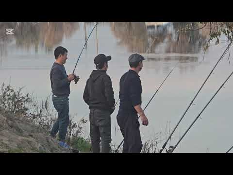 Видео: Бугунку катышуучулардын результаттары соревнования откоруп койсом болмок экен