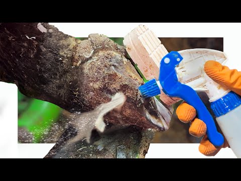 Видео: он ПРОНИКАЕТ НАВСЕГДА! 😳