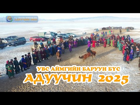 Видео: АДУУЧИН ТЭМЦЭЭН 2025 / Увс аймгийн баруун бүс / Өмнөговь сум