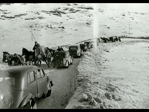 Видео: АНОМАЛИЯ ЗАПАДНАЯ ЛИЦА. Часть первая. Тайны Заозерска.