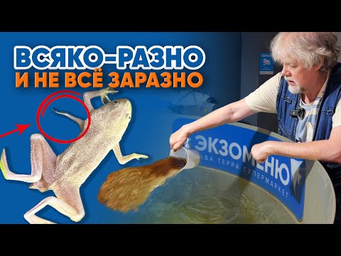 Видео: Аквариумные новости с Владимиром Ковалёвым (16.05.2025). Всяко-разно и не всё заразно!
