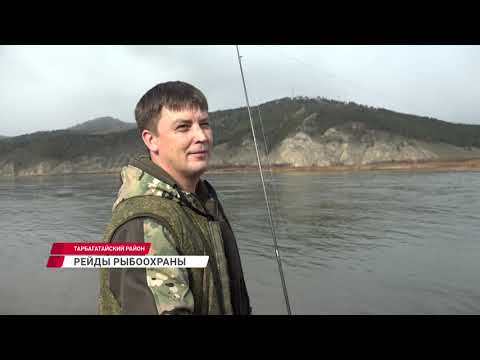 Видео: В Улан-Удэ проходят рейды рыбоохраны