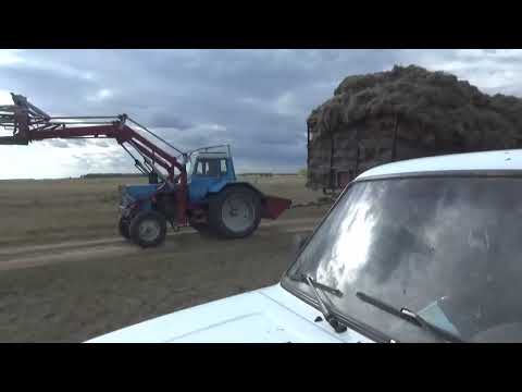 Видео: Сено всё вывезли, поменяли болон на граблях, заскирдовали всё сено.