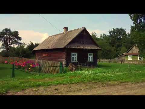 Видео: Новолесье