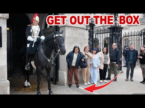 Видео: Гвардеец борется с нарушением правил в Конной гвардии в Лондоне!