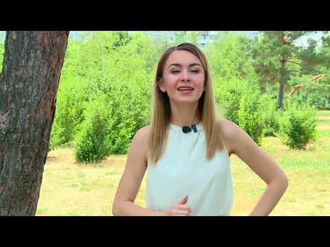 Видео: Мой питомец: голден ретривер