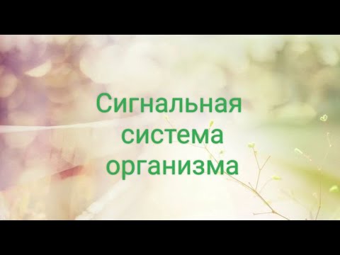 Видео: Сигнальная система организма