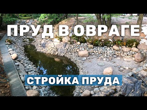 Видео: Создание пруда с дамбой в овраге на водонасыщенном грунте осенью. Когда зимой выкопать пруд проще