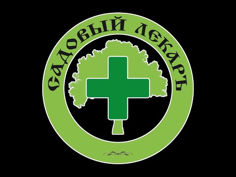 Видео: Прививка кедра на сосну