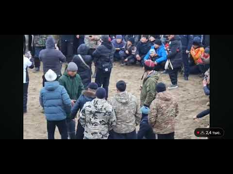 Видео: ЫНТЫМАК КУРАМАСЫ БЕЛГИЛУУ БОЛДУ БУЮРСА ИЙГИЛИК ЫНТЫМАКА