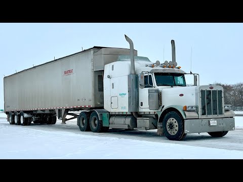 Видео: 162. Старый и надежный Peterbilt 379. Замерзли опилки в прицепе. Альберта, Канада 2024