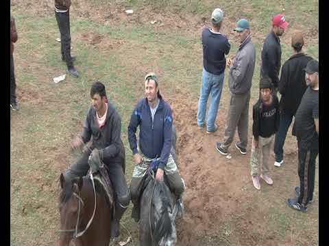 Видео: Бузкаши Н Восеъ д Савхоз аисми 8