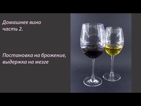Видео: Домашнее сухое вино Часть 2. Постановка на брожение
