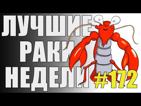 Видео: ЛРН выпуск №172 . ДВЕНАДЦАТИКОЛЕСНЫЙ ТАНК и ТУРНИР РАКООБРАЗНИКОВ [Лучшие Раки Недели]