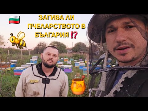 Видео: 🐝🍯ЗАГИВА ЛИ ПЧЕЛАРСТВОТО В БЪЛГАРИЯ⁉️