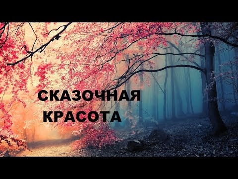Видео: Лоскутная корзинка для рукоделия.(2022г)