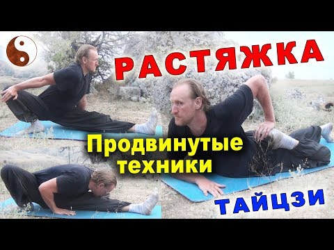 Видео: РАСТЯЖКА в тайцзицюань. Техники продвинутого уровня. Тайцзи Ветер-Гром