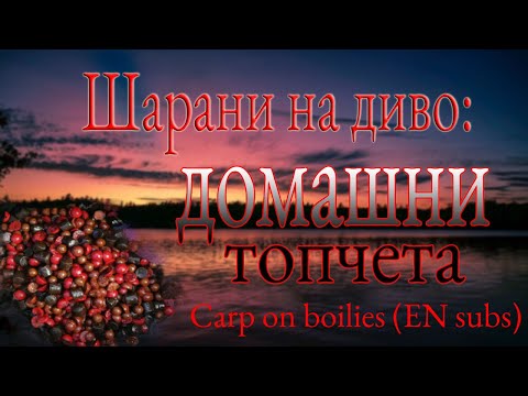 Видео: Риболов на шаран: домашни топчета