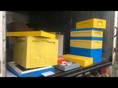 Видео: Сравнение 8 и 6 рамочных улья для пасеки