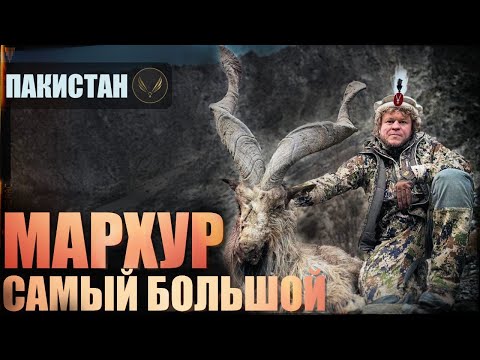 Видео: РЕКОРДНЫЙ ТРОФЕЙ: самый дорогой и крупный  Мархур | Kashmir Markhor – охота в Пакистане
