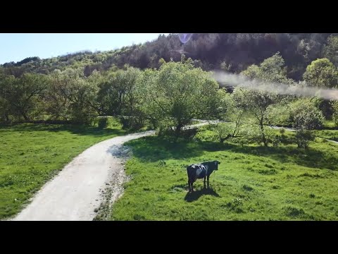 Видео: Анонс «В путь! Без границ». Окница