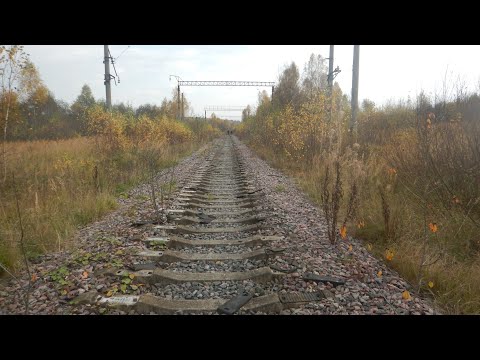 Видео: Вот что можно найти на месте старой железной дороги!!!