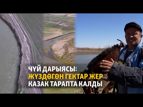 Видео: Чүй дарыясы: жүздөгөн гектар жер казак тарапта калды