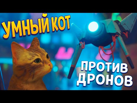 Видео: УМНЫЙ КОТ ПРОТИВ ДРОНОВ ( Stray )